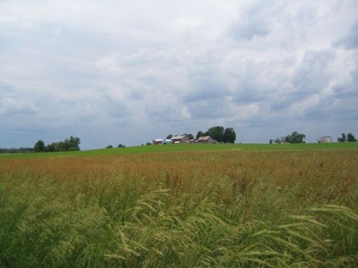 Farm with clouds